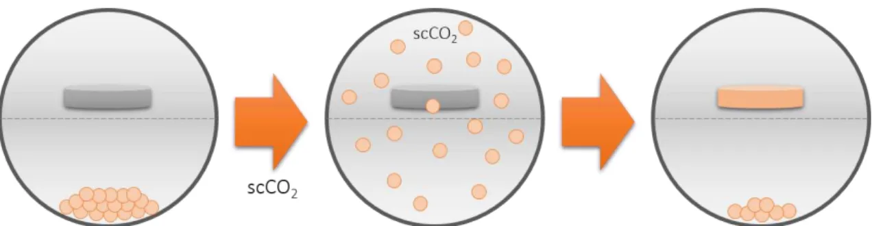 Figure  1.7 General  representation for  a scCO 2 -assisted  impregnation.  The  compound and  impregnating- impregnating-material are placed in a high-pressure cell and the CO 2  is added