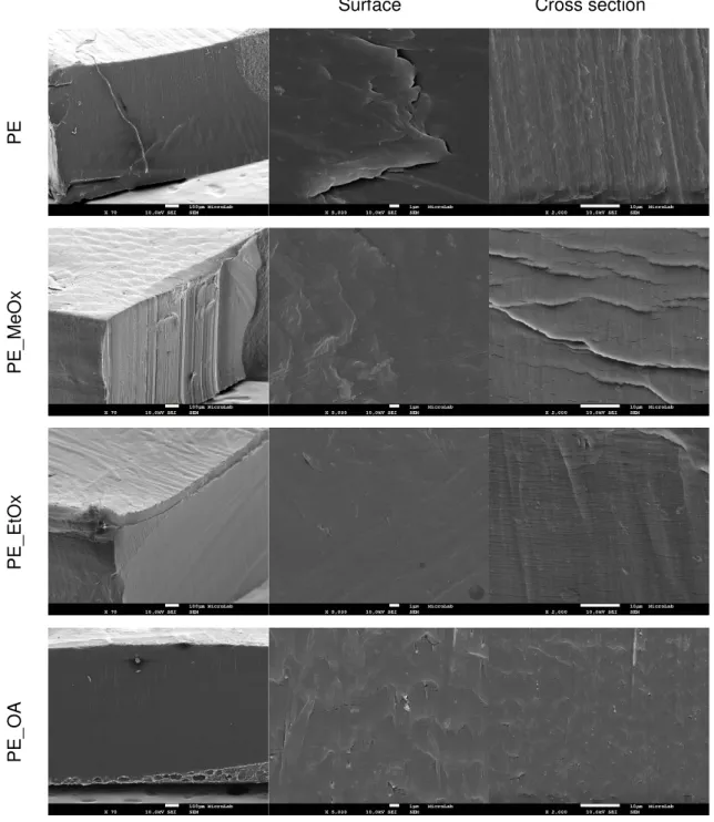 Figure  1.15 SEM  micrographs  of  surface  and  cross  section  of  the  unmodified  PE  and  PE  modified  with  antimicrobial compounds: PE_MeOx, PE_EtOx and PE_OA