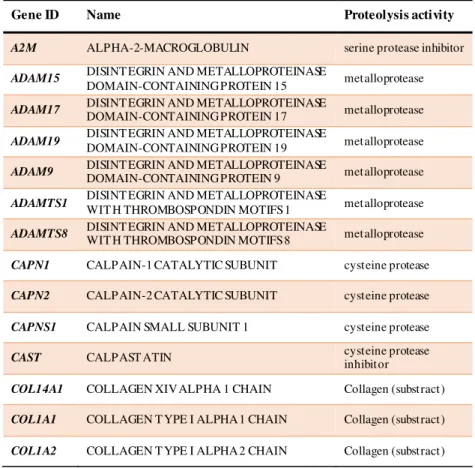 Table  2.1. Proteolysis related  candidate  genes  selected for  this study. 