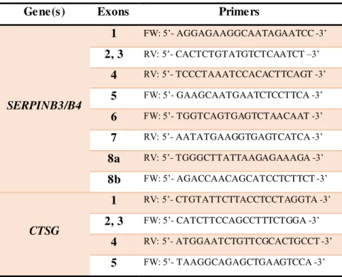 Table  2.4. Primers used for SERPINB3/B4  and  CTSGsequencing  . 
