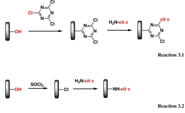 Figure  3.12.    Reactions  used  for  the  covalent  immobilisation  of  cytochrome  c  in  the  polymeric  films