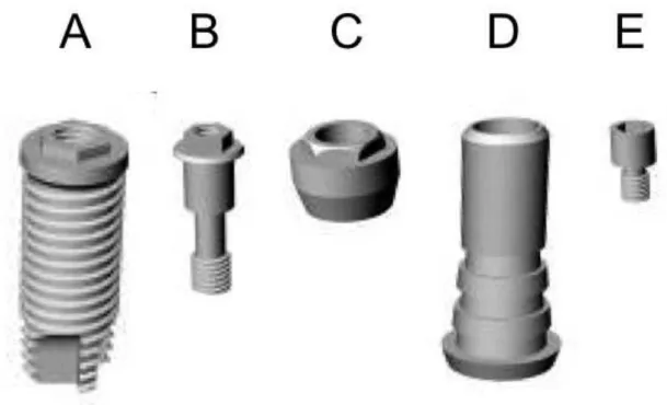 Figura  10  (Sólidos).  A  –  Implante;  B  –  Parafuso  do  Pilar  Protético;  C  –  Base  do  pilar  protético; D – Cilindro de enceramento; E – Parafuso Protético