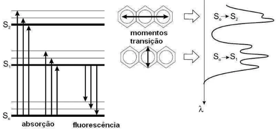 Figura 2.1: Molé
ula de antra
eno 
om as duas direções do momento de transição de absorção,