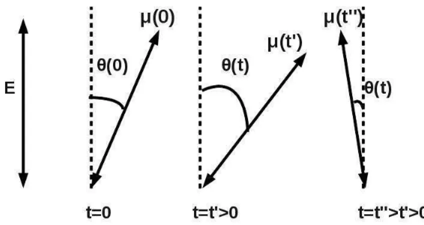 Figura 2.2: Uma molé
ula absorve luz linearmente polarizada no instante t = 0 e emite a luz