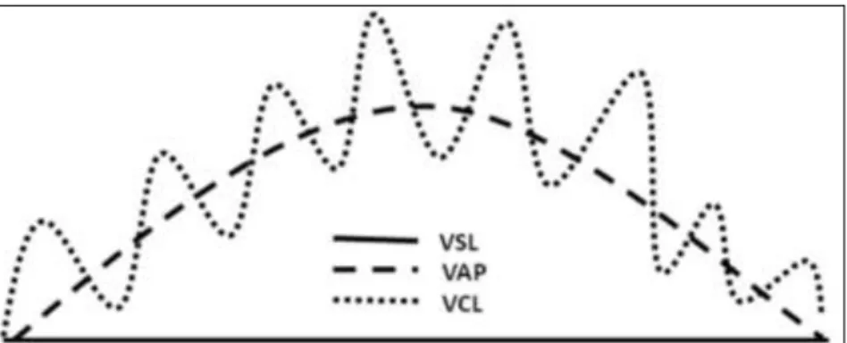 Figura 4 Representação esquemática das análises de velocidade expressas pelo sistema  CASA em uma trajetória irregular (Mortimer, 2000) 