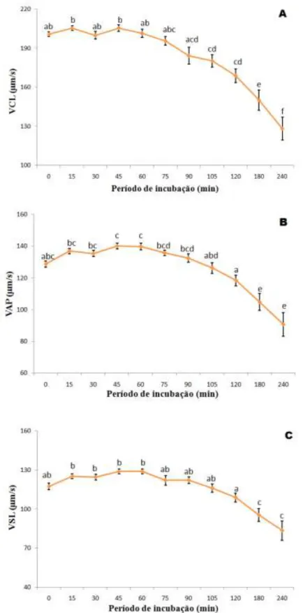 Figura 8 Características quantitativas do movimento espermático (média ± erro padrão)  ao longo de 240 minutos de incubação em meio SP-TALP+