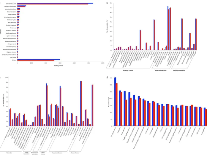 Figure 2. (a) Top-hit species distribution after BLASTx similarity search against the NCBI non-redundant  (nr) database