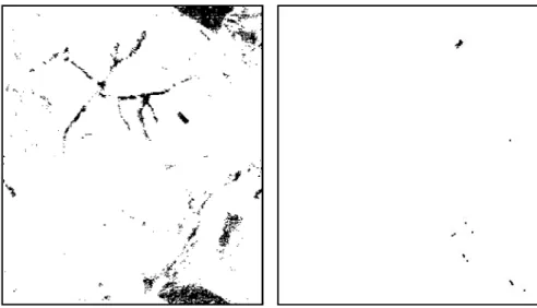Figura 3 – Imagens de PPI: a) valor de corte 2, b) valor de corte 171.