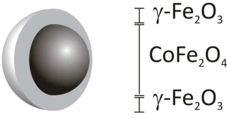 Fig.  4.3:  Estrutura  da  nanopartícula.  De  acordo  com  o  modelo  core-shell:  um  núcleo  de  ferrita de cobalto (CoFe 2 O 4 ) recoberto por uma superfície de maguemita (-Fe 2 O 3 )