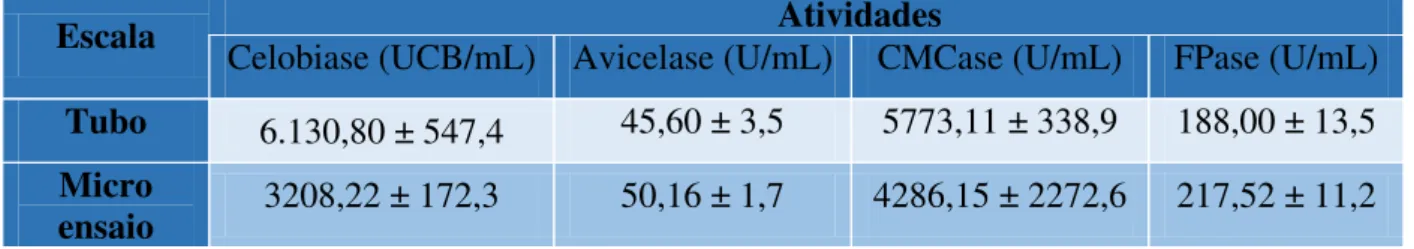 Tabela  1  -  Atividades  do  extrato  enzimático  total  (FPase),   -glicosidase  (celobiase),  celobiohidrolase (avicelase) e endoglicanase (CMCase)