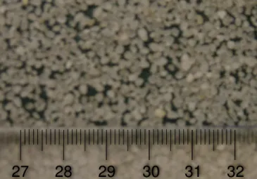 Figura 3.1. Formato dos grãos do solo granular utilizado para os ensaios da pesquisa.