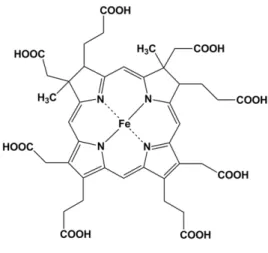 Figura 1.12 – Estrutura química da vitamina B 12 . 