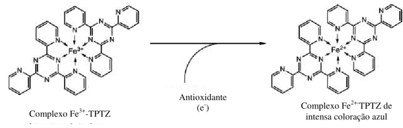 Figura 3.6 - Formação do complexo (Fe 2+- TPTZ) após redução do Fe 3+  por um antioxidante  (adaptado de Prior et al, 2005)