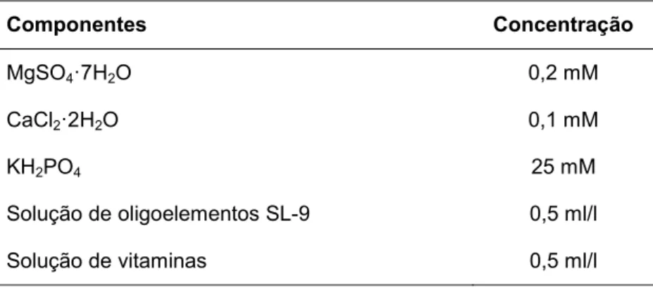 Tabela 2.2. Composição do meio utilizado para determinação de  formação de biofilme na ausência de azoto Stürmeyer et al