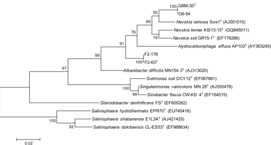 Figura 3.2. Dendrograma filogenético com base na comparação das sequências do gene rRNA  16S das estirpes F2-63 T , F2-178, G6M-30 T  e G6-54 com as estirpes tipo dos géneros da família  Sinobacteriaceae