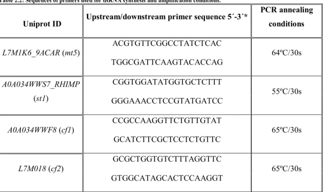 Table 2.2: Sequences of primers used for dsRNA synthesis and amplification conditions