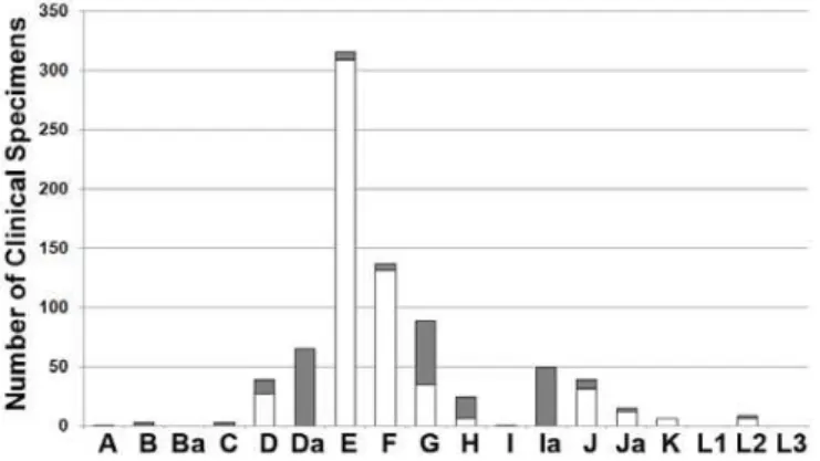Figure 5.1 -  Distribution of the 795 C. trachomatis clinical specimens by  ompA genotype