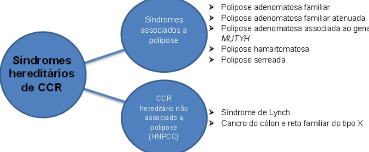 Figura 1.2: Síndromes hereditários de CCR (Adaptado de [Lindor et al., 2005])
