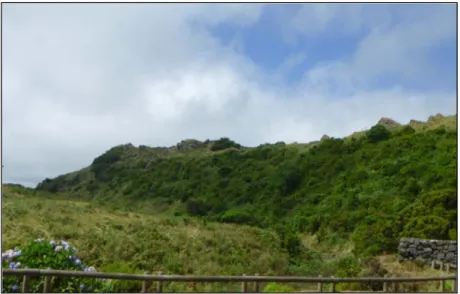 Figura 2.2 Fotografia do local de colheita de H. foliosum (Furnas do  Enxofre da ilha Terceira).