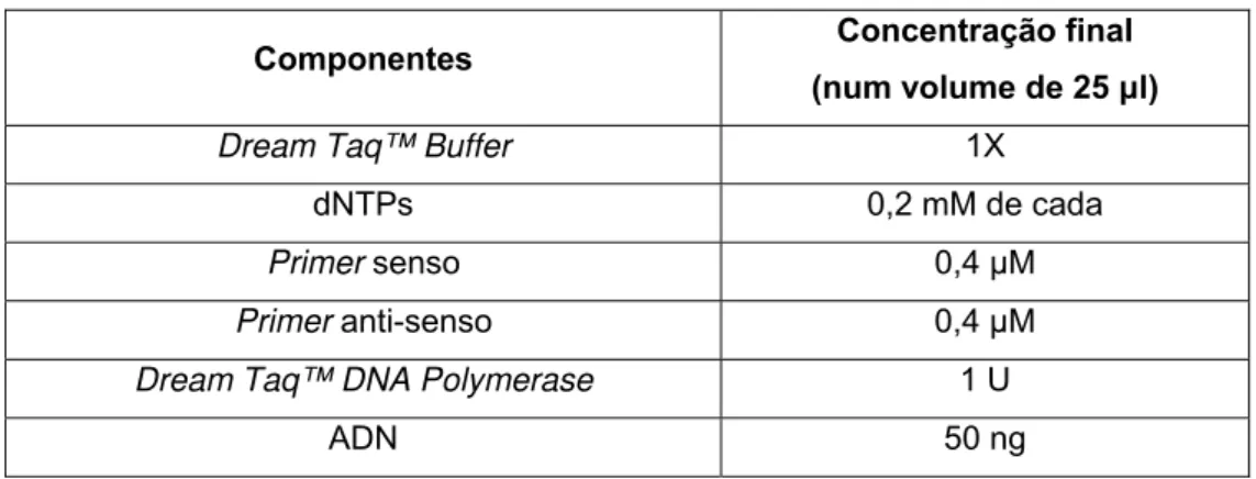 Tabela 2.3 Componentes e concentrações finais utilizadas nas reacções de PCR. 