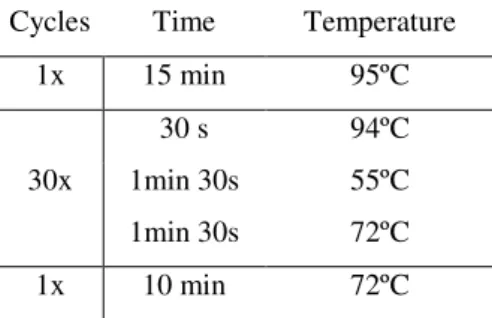 Table 2.8: PCR Multiplex protocol. 