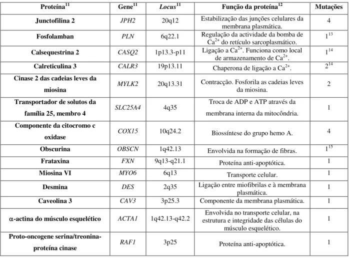 Tabela 1.3 – Outros genes e sua localização cromossómica, funções das proteínas correspondentes e número de mutações  associadas a MH