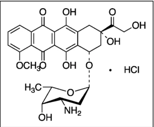 Figura  1.3: Fórmula  estrutural  do  composto  anti-tumoral  Doxorrubicina  (Toronto  Research  Chemicals  Inc.,  http://www.trc-canada.com/detail.php?CatNum=D558000, acedido a 23/01/2011)