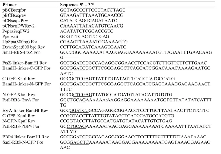 Table 2.1 – Primers used in this study  