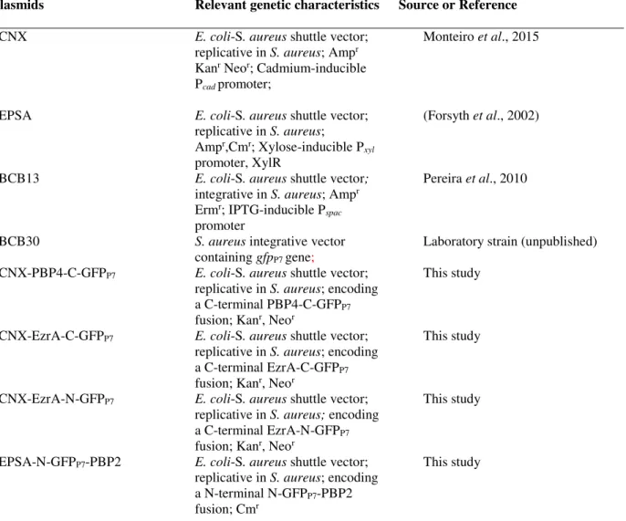 Table 2.2  –  Plasmids used in this study  