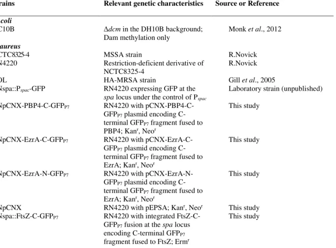 Table 2.3 – Bacterial strains used in this study  