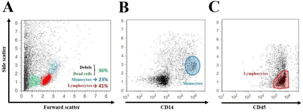 FIGURE 3.1 | Immunophenotype of a concentrated cord blood sample after thawing and  erythrocyte lysis