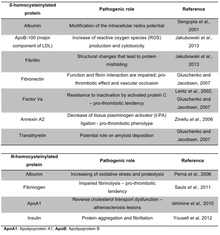 Table 1.1 Cardiovascular consequences of S and N-homocysteinylated proteins. 