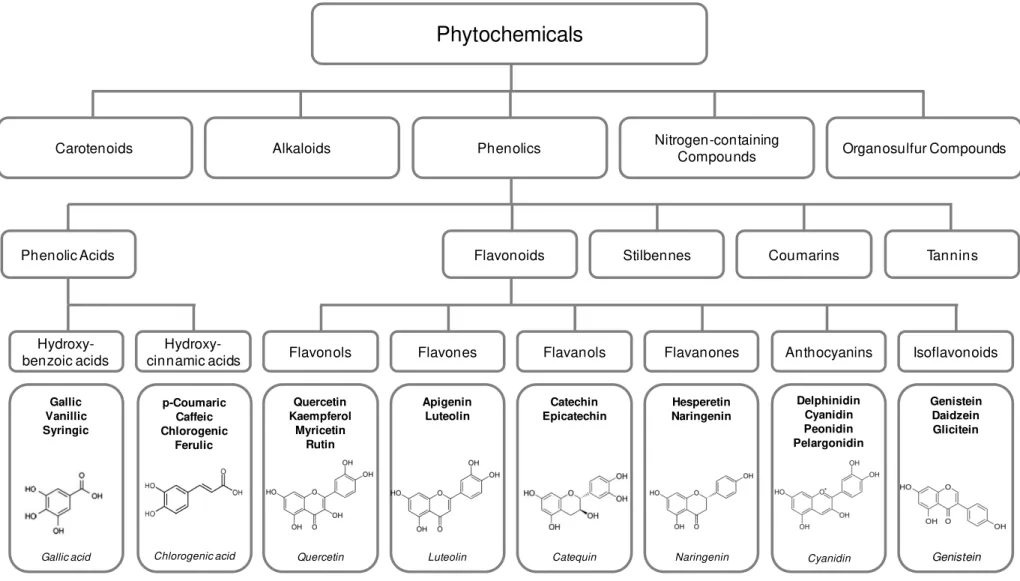 Figure 1.3.Classification of dietary phitochemicals (Adapted from Liu, 2004) . (41)
