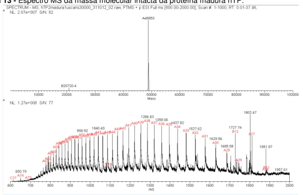 Figura 13 - Espectro MS da massa molecular intacta da proteína madura hTP. 