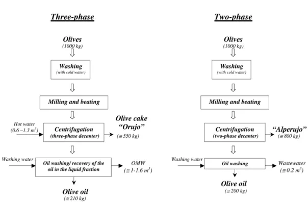 Figure 1.4 – Schematic of the three and two phases methods used in olive oil extraction