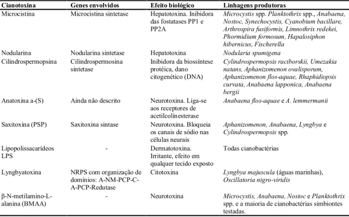 Tabela  1  –  Cianobactérias  produtoras  de  toxinas  (FUNARI;  TESTAI,  2008,  modificado  por  SILVA, 2010) 