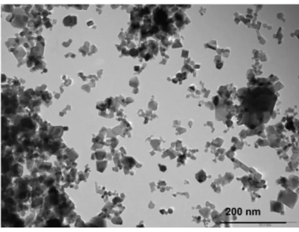 Figure 1.1- TEM image of NM-212, showing irregular and non-homogeneous primary particle  size variation (C