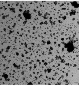 Figure 1. 4- Micrograph of NM-101, illustrating that the aggregates/agglomerates have a very  irregular surface (Rasmussen et al