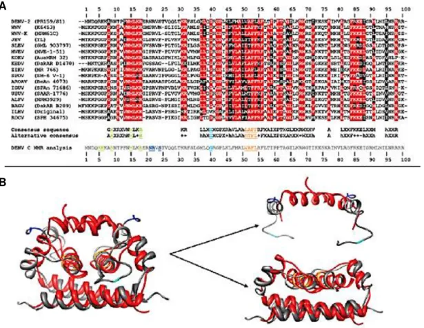 Figure  1.9  -  C  protein  residues  involved  in  the  LD  interaction  are  conserved  among  Flavivirus  spp