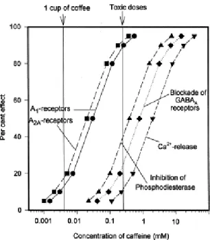Figure 1.6 - Effect of caffeine on different biochemical targets in relation to its levels in humans (Fredholm et  al, 1999)