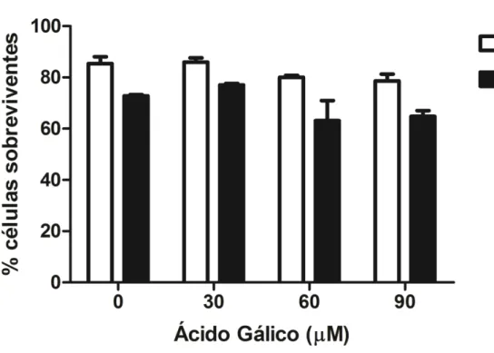 Figura  3  -  Porcentagem  de  sobrevivência  pela  liberação  de  lactato  desidrogenase  (LDH)  por  células  GRX  tratadas  com  ácido  gálico  em  concentrações 30, 60 e 90 µm e tempos de incubação de 24 horas e 6 dias