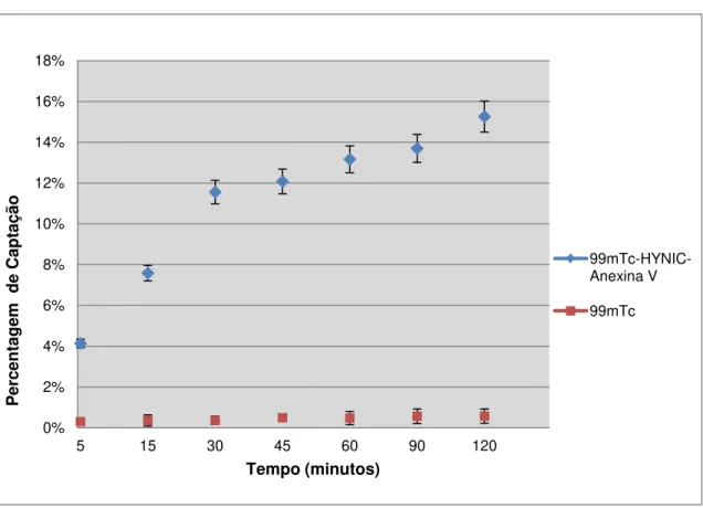 Figura 3.1 - Percentagem de captação da  99m Tc-HYNIC-Anexina V e de  99m Tc pela linha celular WiDr durante um  período de 120 minutos
