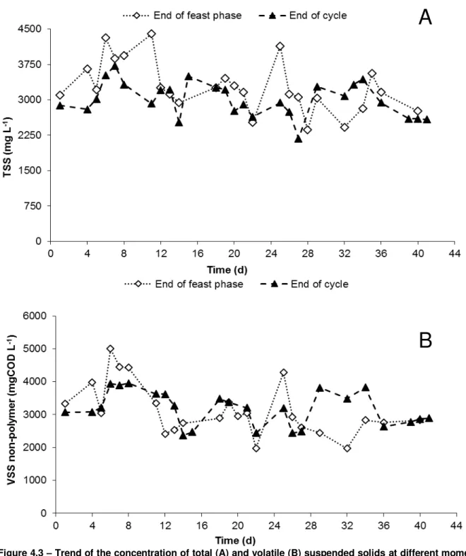 Figure 4.3  –  Trend of the concentration of total (A) and volatile (B) suspended solids  at different moments of  the SBR cycle, during the entire period of operation of the N-FAMINE 2 run