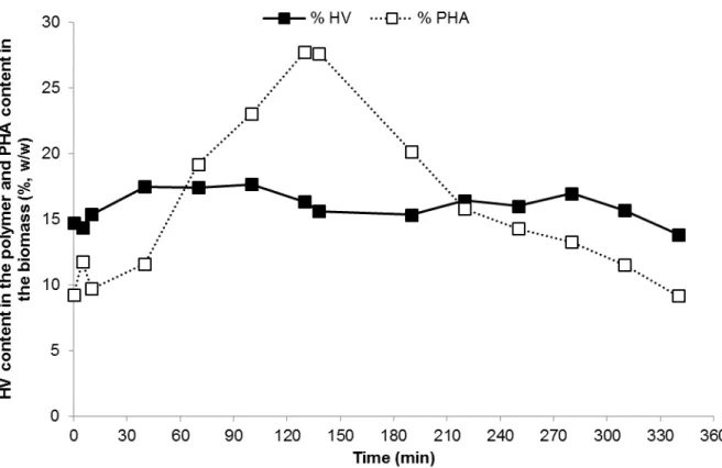Figure 4.9  –  Trend of the HV content in the stored polymer and PHA content in the biomass during a SBR kinetic  carried out when the reactor was operated at an OLR of 8.5 gCOD L -1  d -1  and nitrogen load of 0.26 gN L -1  d -1 