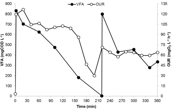 Figure 4.10  –  Trend of VFA concentration and OUR throughout a typical kinetic test in the accumulation reactor  with the microbial culture selected in the SBR operated at an OLR of 8.5 gCOD L -1  d -1  and nitrogen load of 0.26  gN L -1  d -1 