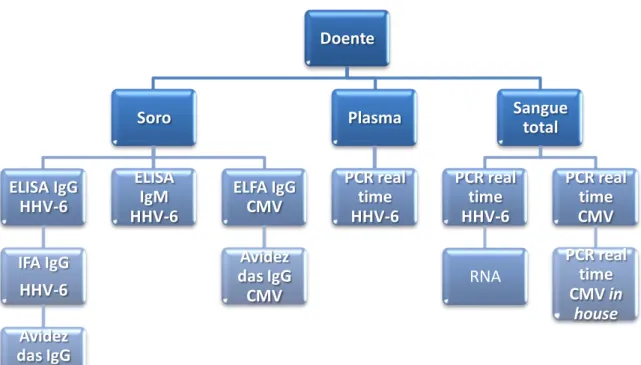 Figura 6 - Esquema da componente prática do trabalho. 