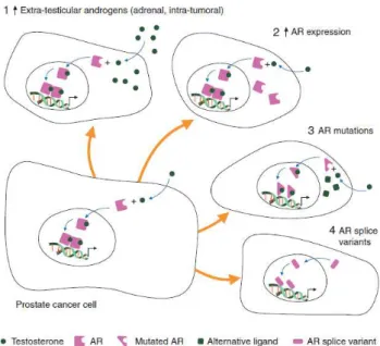Figure  6.  Schematic  representation  of  possible  mechanisms  of  resistance  to  chemotherapy