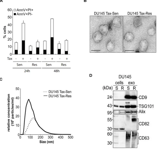 Figure  3.1:  Characterization  of  exosomes  secreted  from  DUS  and  DUR  cells,  with  prior  cell  death profiling of those same cells