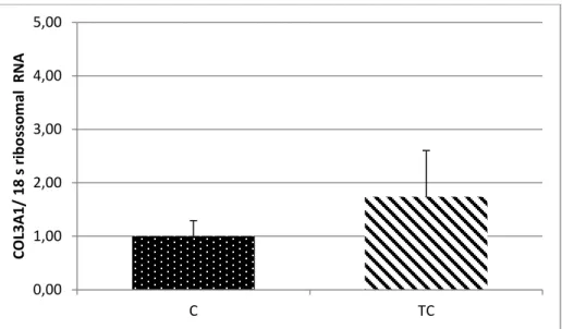 Figura 8. Expressão Gênica em tempo real do gene COL3A1. Grupo Controle (n=14) e Grupo Tumor                     com Caquexia (n=8)