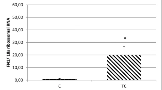 Figura 10. Expressão Gênica em tempo real do gene FN1. Grupo Controle (n=12) e Grupo Tumor com                      Caquexia (n=6).Dados como média e desvio padrão